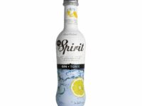 GIN TONIC M.G. SPIRIT 275ML 5.5º 1U (24)