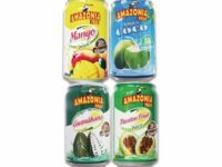 SURTIDO JUGOS AMAZONIA 330ML 24U